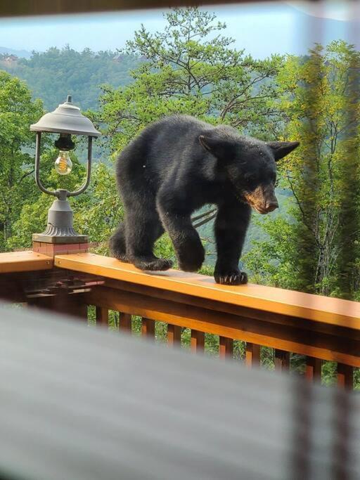 Yogi's Den: Breathtaking Views! 3 Min To Dollywood, On 1 Acre! Ferienhaus Sevierville